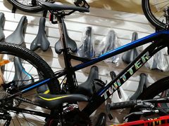 -道路口单车爱瓦士dahon大行