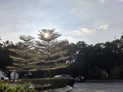 -星巴克臻选(广州二沙岛文立方店)