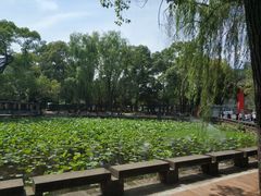 -四川大学(望江校区)
