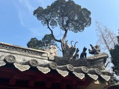 -青岛崂山太清宫