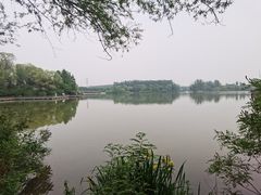 -翠湖国家城市湿地公园