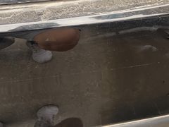 -路路通百辰汽车服务连锁(三合店)