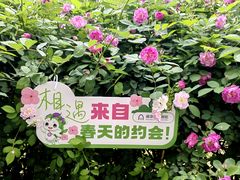 -南京国际青年文化中心