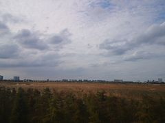 -南汇嘴观海公园