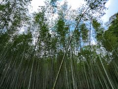 -千泷沟大瀑布旅游区