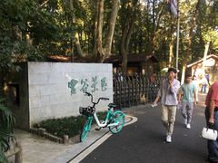 -灵谷景区