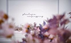 -深圳香格里拉大酒店·宴会厅