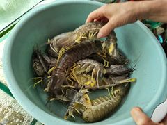 -凯华海鲜火锅·传承三十六年
