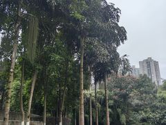 -龙头寺公园