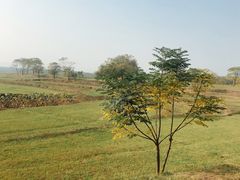 -盘龙城国家考古遗址公园