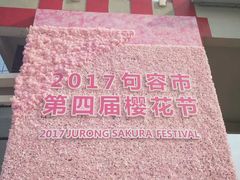 -天王浮山樱花园