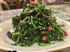 炝拌山野菜-天下第一面(大雁塔北广场店)