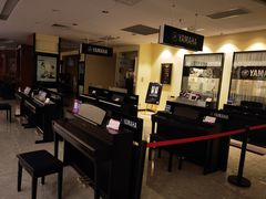 -知音艺术教育培训·钢琴培训·音乐培训(河西金鹰世界校区)