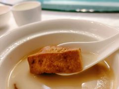 口袋豆腐-松云泽