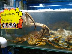 -蚝专家(北滘店)