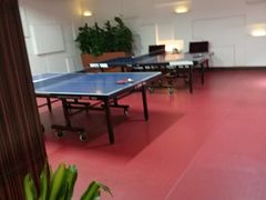 乒乓球室-御水泉·国际水疗会(广州长隆店)
