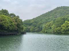 -白马涧龙池景区