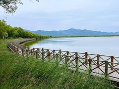 -野鸭湖国家湿地公园