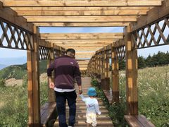 -白草畔自然风景区