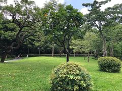 -晓港公园