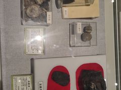 -北京中医药大学-中医药博物馆