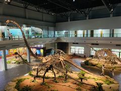 -自贡恐龙博物馆