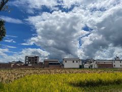 -回辉登偰氏面片(东莲花美食街店)