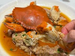 -欢乐海岸美食联盟