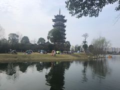 -洋湖国家湿地公园