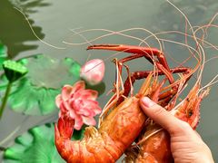 -欢乐蟹庄·精品农家乐(阳澄湖莲花岛店)