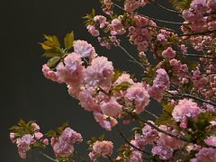 -山东大学(软件园校区)