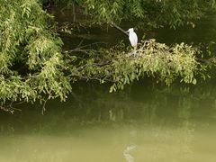 -深圳湾公园(南山区)