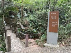-滴水岩森林公园