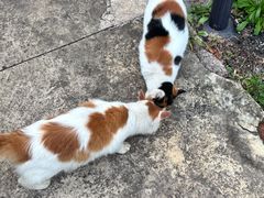 -汤山温泉房车营地 茶温泉