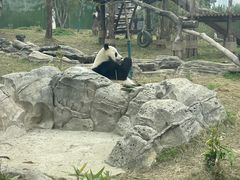 -武汉动物园