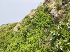 -妙峰山风景名胜区