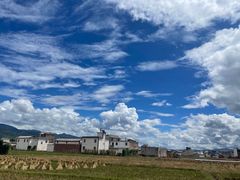 -回辉登偰氏面片(东莲花美食街店)