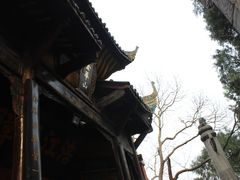 -子昂故里文化旅游区