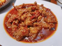 -红辣椒八爪鱼特色韩国料理
