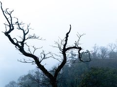 -青城山