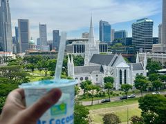 -新加坡瑞士史丹福酒店