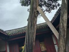 -太平天国侍王府