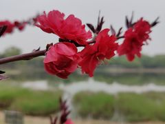 -北坞公园