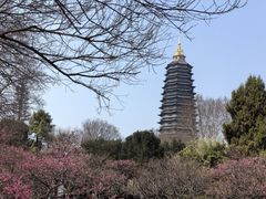 -红梅公园