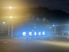 -野狸岛