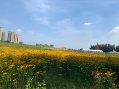-丁香湖公园