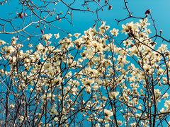 -南京市江宁方山