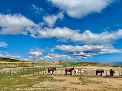 -青海湖国家重点风景名胜区