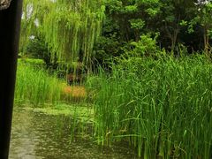 -尚贤河湿地