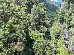 -苍山感通索道